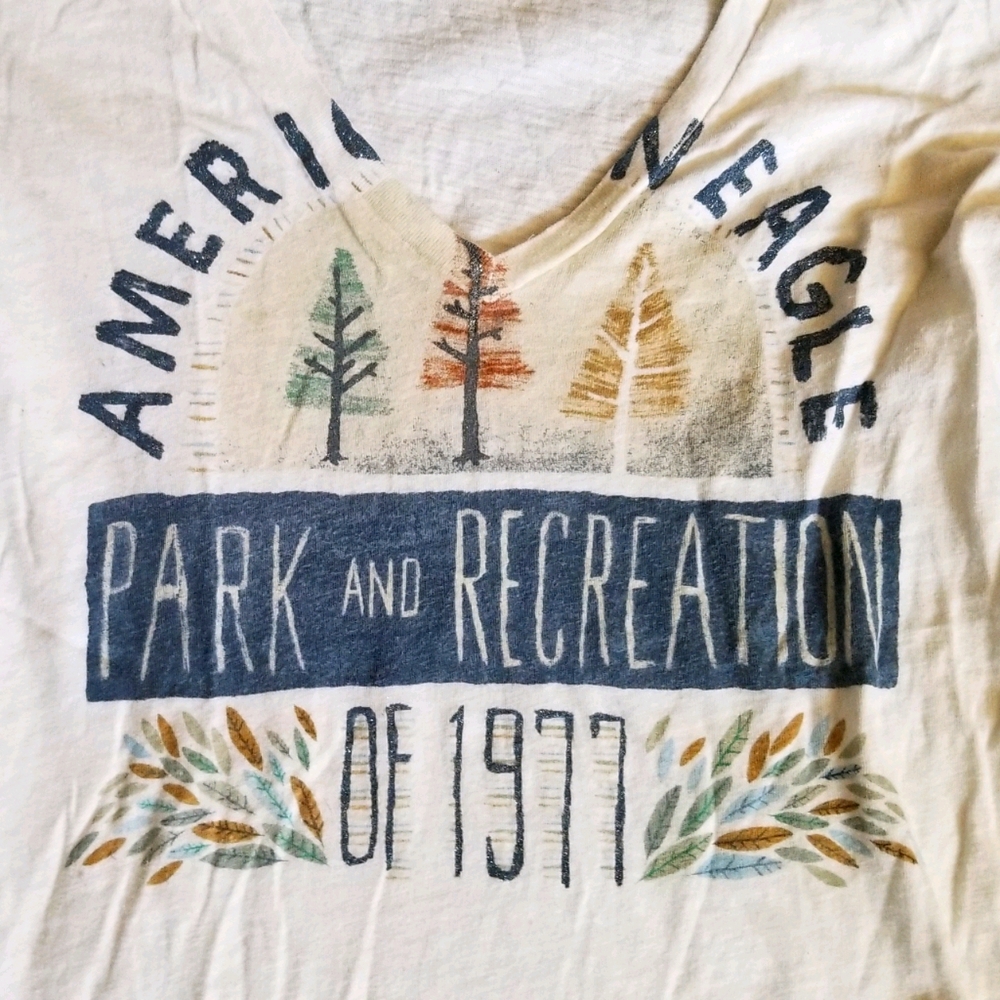 American Eagle Sparkle Graphic V-neck T-Shirt